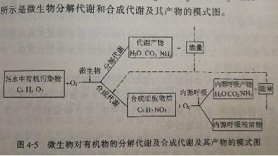 活性污泥法處理工業廢水的機理